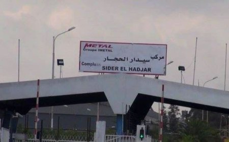 سيدار الحجار  تتوجه نحو تغطية حاجيات السوق المحلية بمفحمات السيارات بلاكات دو فران 