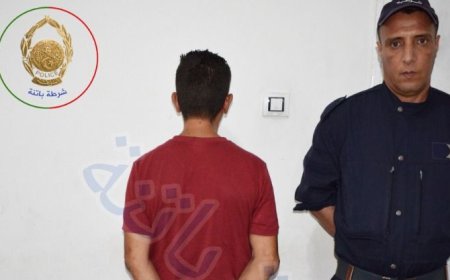 باتنة: توقيف مسبوق قضائيا قام بإضرام النار بمساحة غابية