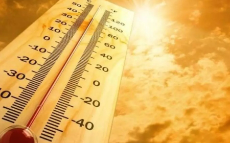 استمرار موجة الحر بعديد ولايات شرق البلاد إلى غاية هذا الأحد