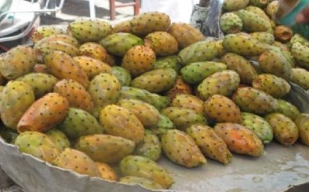 عنابة: الامن ومديرية التجارة يطهرون وسط المدينة من بائعو التين الشوكي والفواكه الموسمية