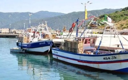 نحو إمكانية تغيير نشاط قوارب النزهة " بصفة استثنائية"