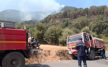 بجاية: إخماد أغلبية الحرائق