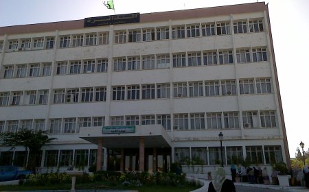 بعد 50 سنة من المعاناة 