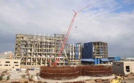 دخول مركب سحق البذور الزيتية بجيجل حيز الخدمة "قريبا"