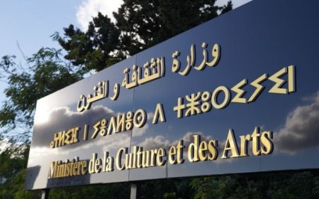 صدور قانون يحدد مدونة المهن الفنية