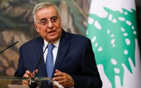 وزير الخارجية اللبناني يشكر الرئيس تبون