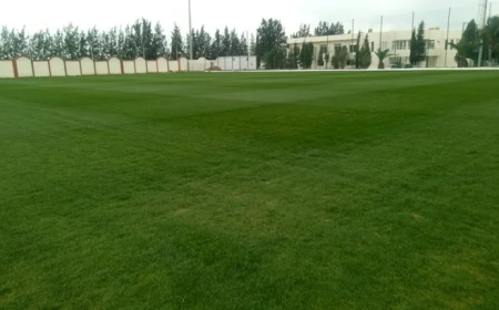 بيتكوفيتش يتلقى تطمينات من "الفاف" بخصوص جاهزية مركز سيدي موسى وميادينه لاحتضان تدريبات الخضر