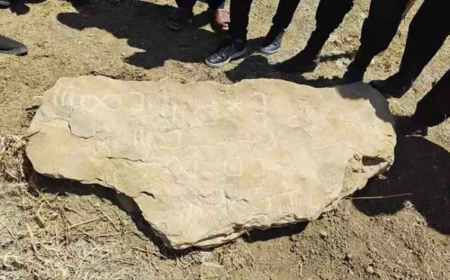 اكتشاف واسترجاع نقيشة أثرية بإحدى المزارع بخنشلة