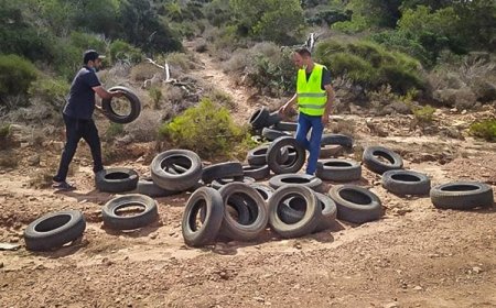 استرجاع 5 الاف عجلة مطاطية مستعملة من الغابات بالطارف