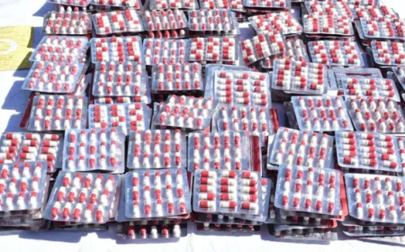 مختلّ عقليّا ومسبوقون قضائيّا ضمن شبكة للمتاجرة بالمهلوسات في عنابة