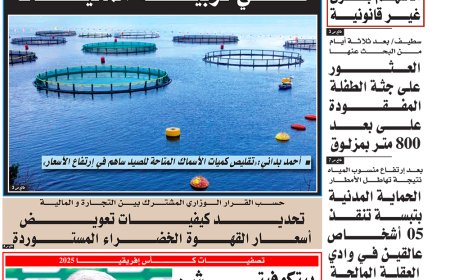 السبت 31 اوت 2024