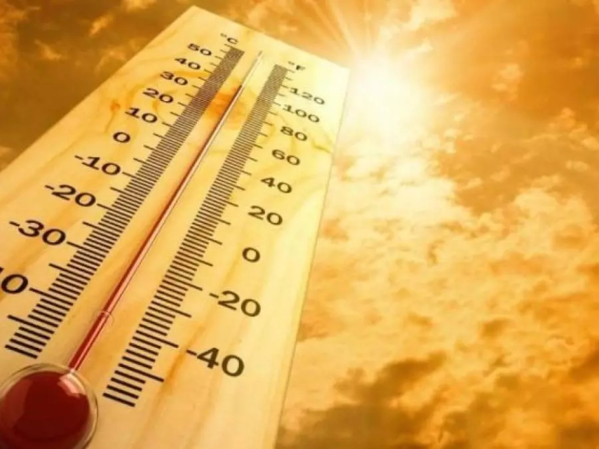 استمرار موجة الحر بعديد ولايات شرق البلاد إلى غاية هذا الأحد