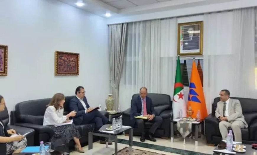 سونلغاز تتباحث مع شركة مكسيكية حول مشروع محطة إنتاج الكهرباء بعين وسارة
