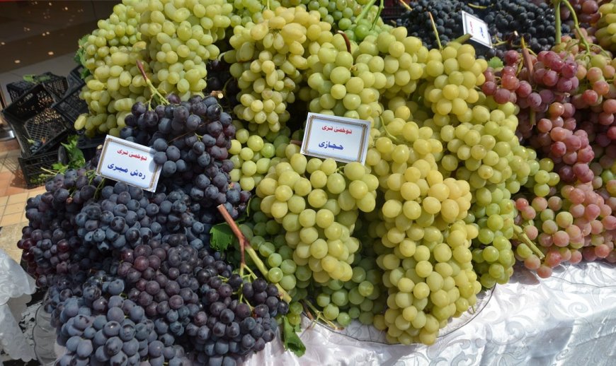 العنب ب60 دينارا 