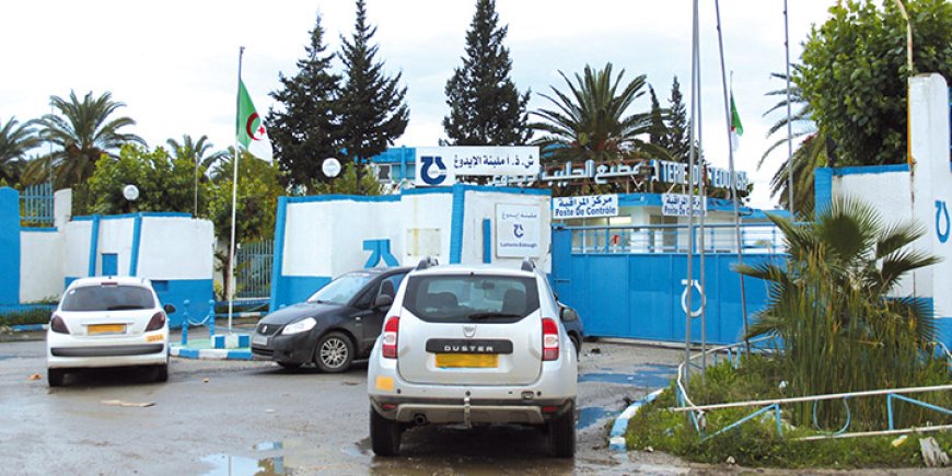 عنابة: تجهيز ملبنة إيدوغ قريبا ببئرين إرتوازيين 