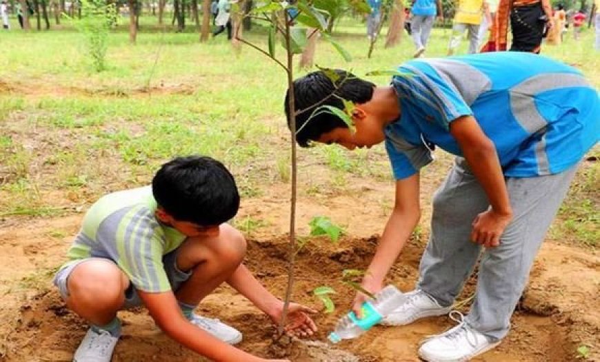 تخصيص غلاف مالي قدره 75 مليون دج للتشجير حتى آفاق 2030