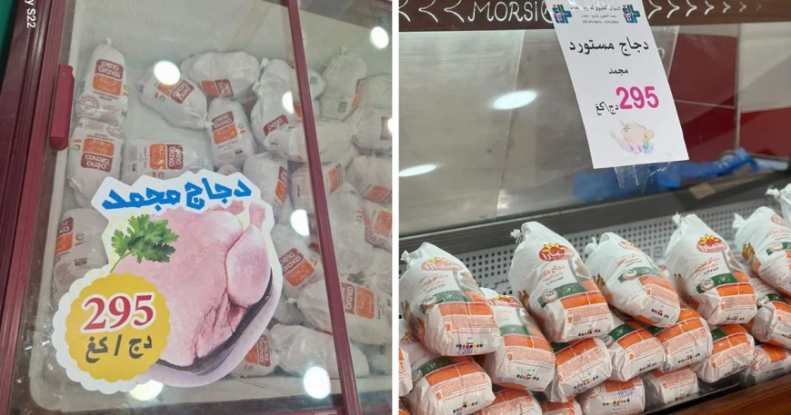 3 دجاجات" برازيلية" فقط