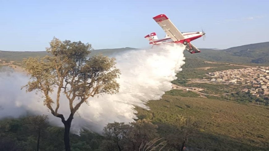 الطارف: تسخير ثلاثة طائرات و"درون" لاخماد الحريق بغابة مشتة الحمراء بالزيتونة