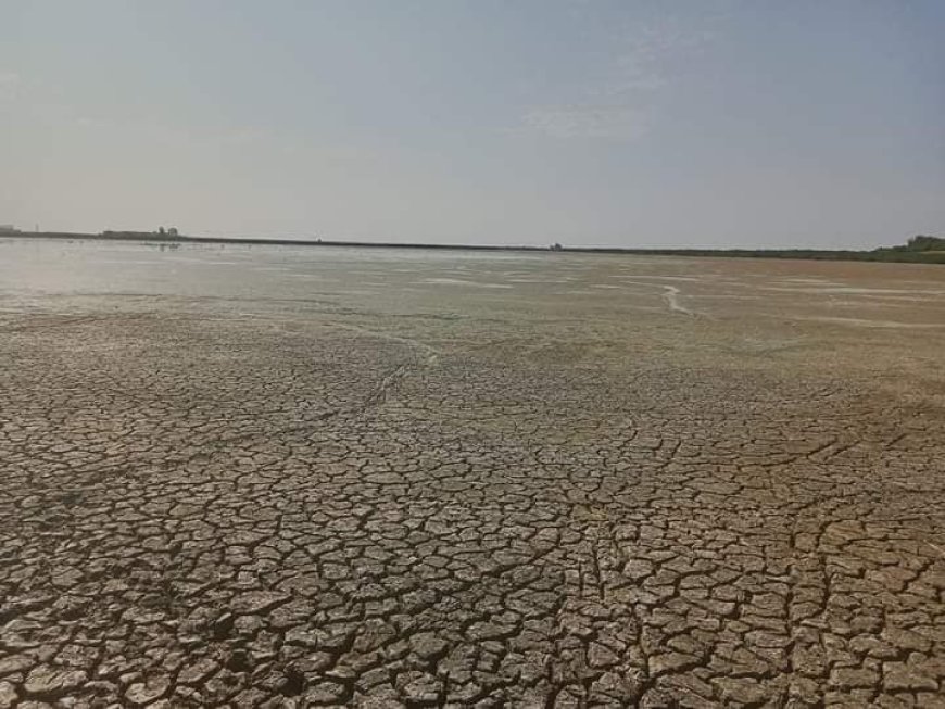 تدابير إستعجالية لحل مشكلة جفاف بحيرة الطيور ببوثلجة بالطارف