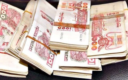 عنابة: إلتماس 7 سنوات سجنا نافذا لشاب نصب على أشخاص وسلبهم مبلغ مالي معتبر