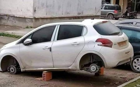 إيداع لصّ الحبس بعد تورّطه في سرقة عجلات عدّة سيّارات في عنابة