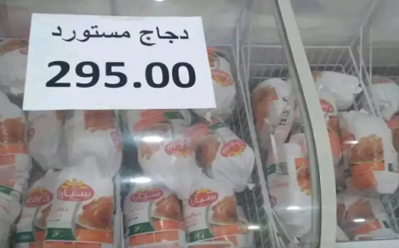 إقبال  كبير للمواطنين على  الدجاج المستورد