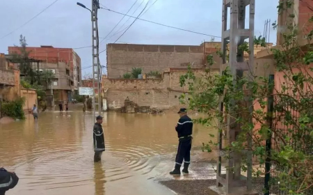 الأمطار الطوفانية تلحق أضرارا معتبرة ببعض الطرقات والبنى التحتية بجيجل  