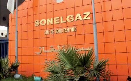 سونلغاز تمد الشبكة التونسية بـ 1000ميغاواط من الكهرباء