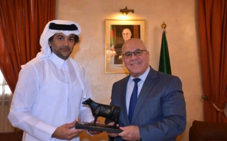 مستشار "بلدنا" عند" شرفة" 