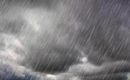 أمطار رعدية مرتقبة على عدة ولايات ابتداء من ظهيرة اليوم