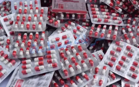 عنّابة: عقوبات ما بين 5 و10 سنوات سجنا نافذا ضدّ أفراد شبكة للمتاجرة بالمهلوسات   