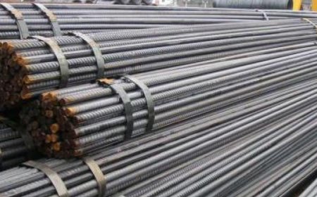 تعزيز عمليات التصدير لشعبة الحديد والصلب من الجزائر إلى موريتانيا