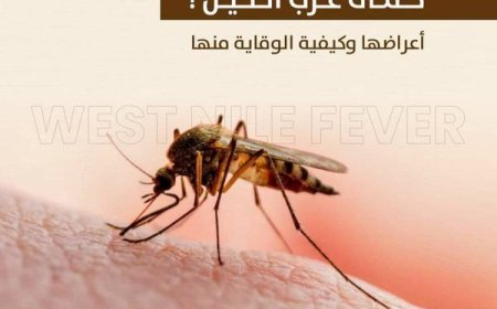 خبراء وزارة الصحة في عنابة لبحث الإجراءات الاحترازية المتخذة لمكافحة وباء حمى غرب النيل