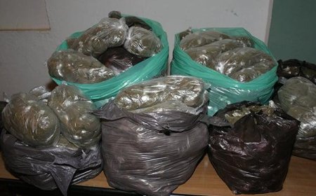 تفكيك ورشة سرية تختص في صناعة الشمة المقلدة في رأس العيون بباتنة