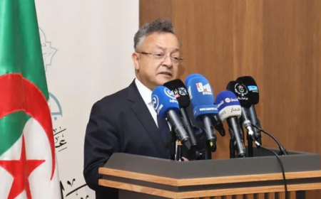 كمال بداري:  الجزائر المنتصرة تحتاج إلى نظام تعليمي جامعي قوي