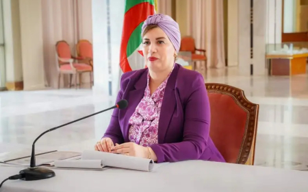 وزارة الثقافة تسطر برنامج ثقافي وفني وفكري ضخم