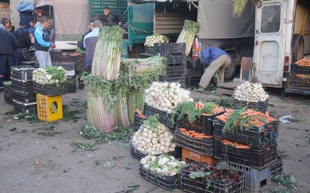    دراسة إمكانية توسعة سوق الجملة للخضر والفواكه بالصرول