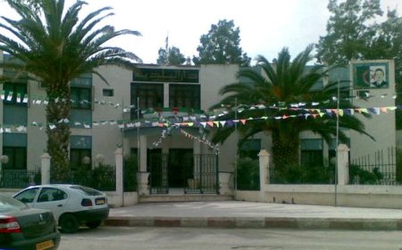 "بشرى سارة" لشباب مداوروش