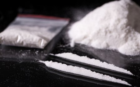 برج بوعريريج:  توقيف شخص وحجز 7.9 كلغ من الكوكايين