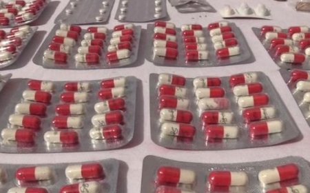 عنابة:  توقيف أزيد من 46 شخص مشتبه فيهم في قضايا مختلفة وحجز أزيد من 600قرص مهلوس