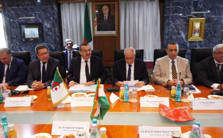 عرقاب: اجتماع وزاري قريب حول مشروع أنبوب الغاز العابر للصحراء