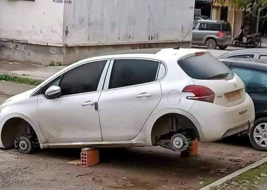 إيداع لصّ الحبس بعد تورّطه في سرقة عجلات عدّة سيّارات في عنابة