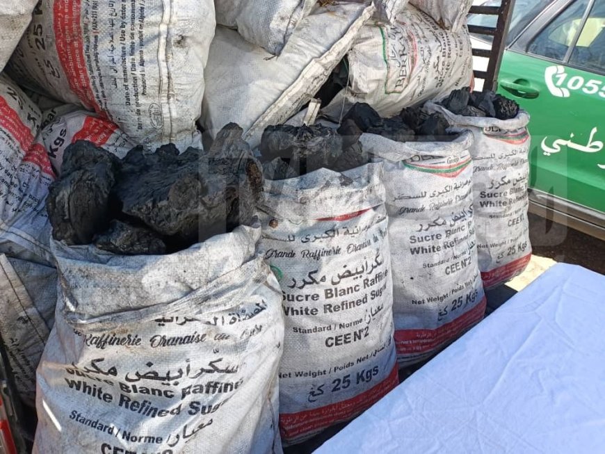 شابّين يحوّلان غابة المروانية في برحال إلى ورشة لصناعة الفحم