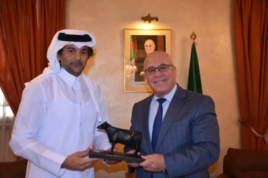 مستشار "بلدنا" عند" شرفة" 
