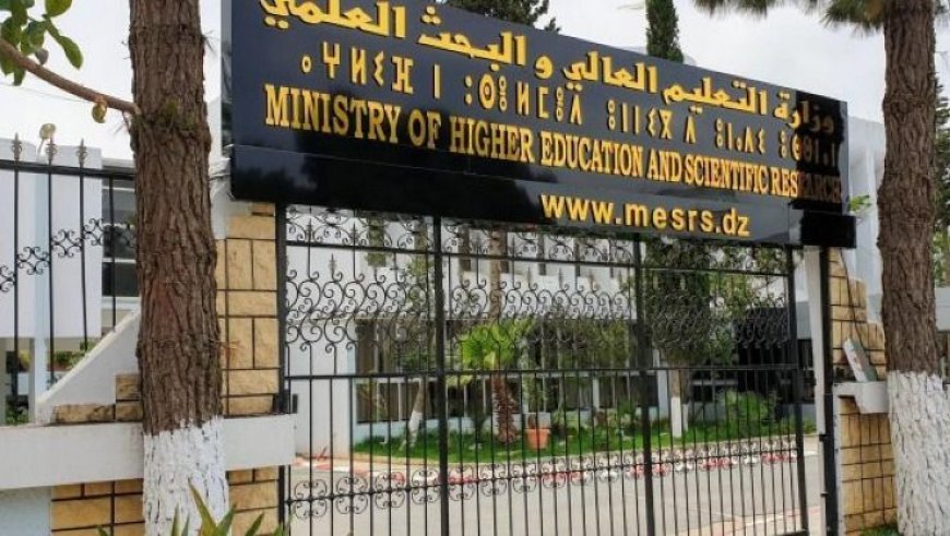 قرار وزاري يحدد كيفية إعداد مذكرة تخرج للحصول  على شهادة جامعية مشروع "مؤسسة اقتصادية"