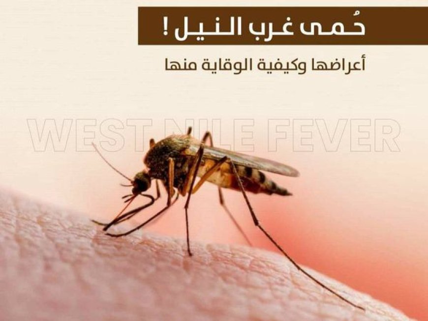 خبراء وزارة الصحة في عنابة لبحث الإجراءات الاحترازية المتخذة لمكافحة وباء حمى غرب النيل