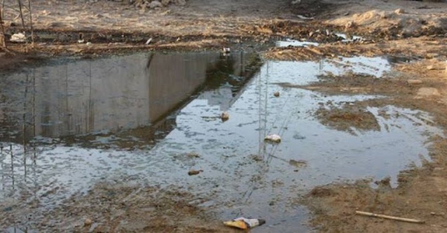 عنابة: عمليات تنظيف ورش مكثفة  بأماكن ركود المياه في مختلف البلديات