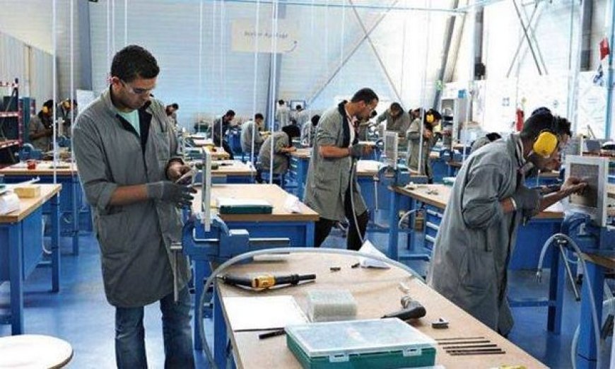 تخصصات جديدة تخص مهن الصناعة و الرقمنة والإعلام والاتصال