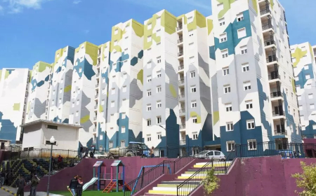 عنابة: مطالب ملحّة بإنجاز ممر آمن وتوفير المرافق والخدمات الأساسيةبخي بوسدرة 650مسكن الجديد