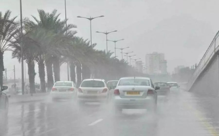 أمطار رعدية على الولايات الوسطى والشرقية للوطن